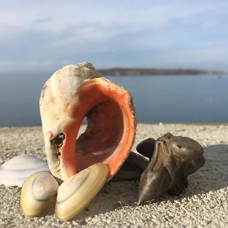 Diamond Sarafovo 부르가스